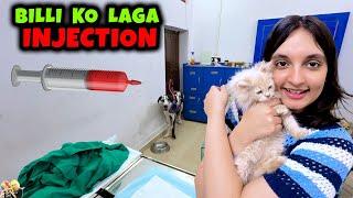 BILLI KO LAGA INJECTION | Cookie ka vaccination | Aayu and Pihu Show