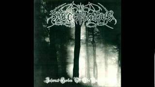 The Sarcophagus - Storms Of The Ancient Wrath