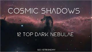 Cosmic Shadows: 12 Top Dark Nebulae