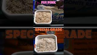 Which Saltwater Aquarium Sand Is BETTER?!