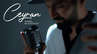 Ahmed Mustafayev — Ceyran (Rəsmi Musiqi Videosu) | 2023