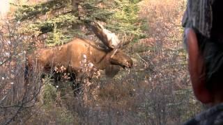 L'Homme Panache au Yukon 9