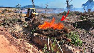 Incredible big dozer cat d7g use power pushing soil forest fast