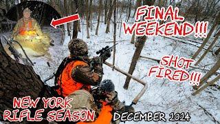 Final Weekend of New York Rifle Season... SHOT FIRED!!!