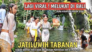 MELUKAT DI JATILUWIH TABANAN BALI ! PURA KEDATUAN RAKSA SIDHI