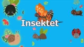 Insektet punëtore. Video për fëmijë në shqip.  Abc shqip