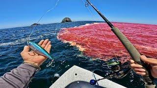 JAMÁS HABÍA VISTO EL MAR ASÍ! | Pesca en Marea Roja