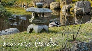 Japanese Garden in Kadriorg Park