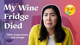 Wine Temperature and Storage 101 - A Basic Guide on How to Store your Wines and at what Temperature