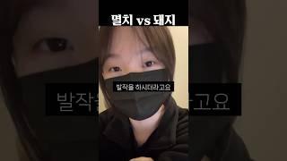 멸치 vs 돼지