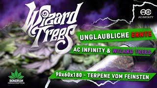 Unglaubliche Ernte! WizardTrees Grow + AC Infinity Setup im Test – Genetik & Terpene vom Feinsten!