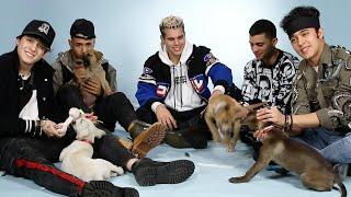 CNCO Plays With Puppies While Answering Fan Questions