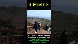 개다리춤의 진수~