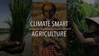 FAO Policy Series: Climate Smart Agriculture