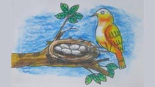 How to draw a beautiful nest