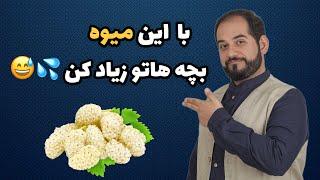 فواید جادویی توت سفید | همه چیزی که باید درباره توت سفید بدانید