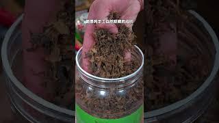 想吃梅菜扣肉又怕麻烦，像我这样做个梅干菜烧肉吧，做法简单软糯不腻又入味，配上大米饭真的太香了#梅干菜烧肉 #家常菜 #梅干菜#美食#做菜#分享#shorts