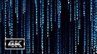 Blue Matrix Code Rain - 1 Hour Matrix Theme TV Screensaver and Live Wallpaper 4K