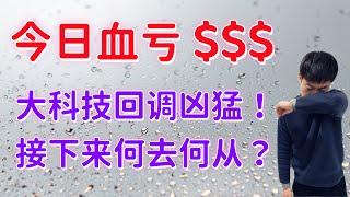 今天我亏了多少$$$ 大科技回调，买？最新买入加仓价格点位