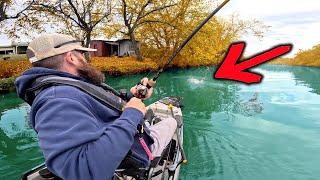 INSANE River Fishing! GIANT Bass, Epic Topwater, and MORE!