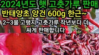 반 태양초  햇 고춧가루 예약판매 600g 한근 작년보다 더 싸게 판매합니다