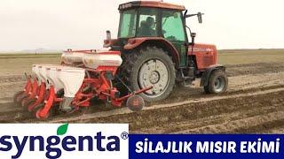 Silajlık Mısır Nasıl Ekilir? (Synğenta)-Massey Ferguson 3075 D