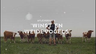 Bodemprijs aflevering 1: Winst & weidevogels