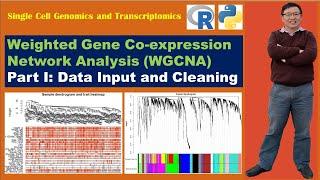 Weighted Gene Co-expression Network Analysis (WGCNA)--Part I: Data Input and Cleaning