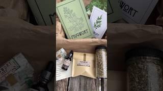 Mugwort is February’s Plant of the Month!  The herbal subscription box you NEED #mugwort #herbalism