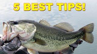 Catching Bass From The Back Seat | Co-Angler Tips for Bass Fishing