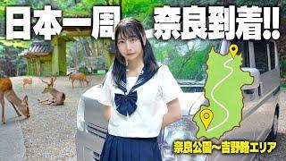 中古の軽バンで日本一周、念願の奈良県にやってきました!!