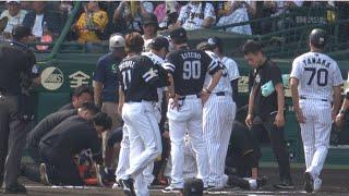 ヤジが飛ぶ中‼️ホークス小久保監督‼️阪神中野拓夢への頭部死球に真っ先に謝罪に2025.6.22️阪神対ソフトバンク