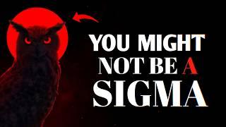 10 signs you're more elusive than JUST A SIGMA