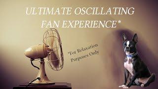 ULTIMATE 10 Hour Oscillating Fan Simulator - Sleep Soundly