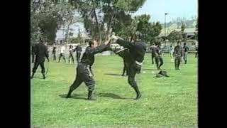 Togakure Ryu Ninpo Kyoketsu-shoge vs Katana.