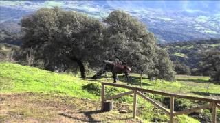 Mirador del Corcho, Cortes de la Frontera, Serranía de Ronda (Málaga)