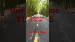 Giải Marathon 31/5/2025 tổ chức tại Du lịch sinh thái Gáo Giồng I Cung đường tre đẹp nhất miền tây