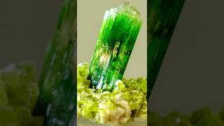 Tourmaline The Rainbow Gemstone #Tourmaline#Gemstone#Jewelry#Crystals#Mineral#Mineralogy#Lapidary