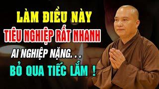 Làm Điều Này Tiêu Nghiệp Rất Nhanh, Người Nặng Nghiệp Đừng Bỏ Qua | Thầy Thích Đạo Thịnh