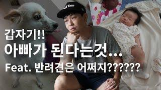 갑자기 #아빠 가 되면 생기는 일 ft) #강아지 어쩌죠? _ 육아 초보