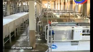 На Кикунинском консервном заводе запущены новые производственные линии