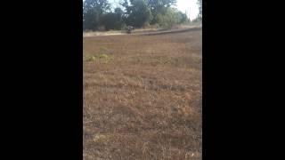 Mason on a badass raptor 660r doing wheelies