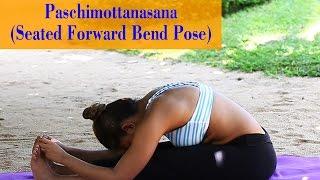 Yoga Asana for Beginners - Steps to Perform Paschimottanasana (Forward Bend Pose) and Its Benefits