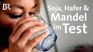 Pflanzendrinks im Test: Sind Mandel-, Hafer- und Soja- vegane Milchalternativen | Gesundheit | BR