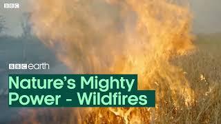 Nature's Mighty Power: Wildfires | BBC Earth