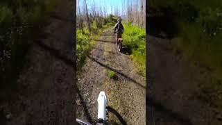 Dual sport riding in Oregon