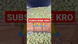 आम  Mango @Delhi fruit market #shorts #viral #mango #subscribe #view