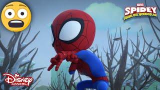 Çiçek Yetiştirme Yeteneği | Marvel Spidey ve İnanılmaz Arkadaşları | Disney Channel TR