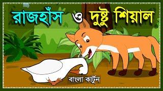 দুষ্টু শিয়াল ও হাঁস | DUSTU SEYAL O HAS | BANGLA FOX CARTOON | NEW BANGLA CARTOON | SIYALER GOLPO