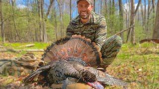 NY Turkey Hunt Big Gobbler